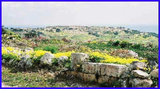 The view across the flower filled countryside towards Fort Campbell.